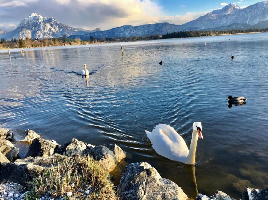 Hotel Fischer Am See ฟุสเซ่น ภายนอก รูปภาพ